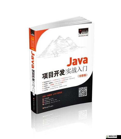 Java-HD-free 技术在软件开发中的应用与发展探讨