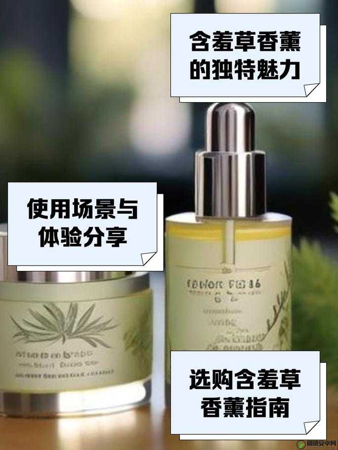 探秘 Diptyque 含羞草香薰：带你领略独特的香薰魅力与使用体验